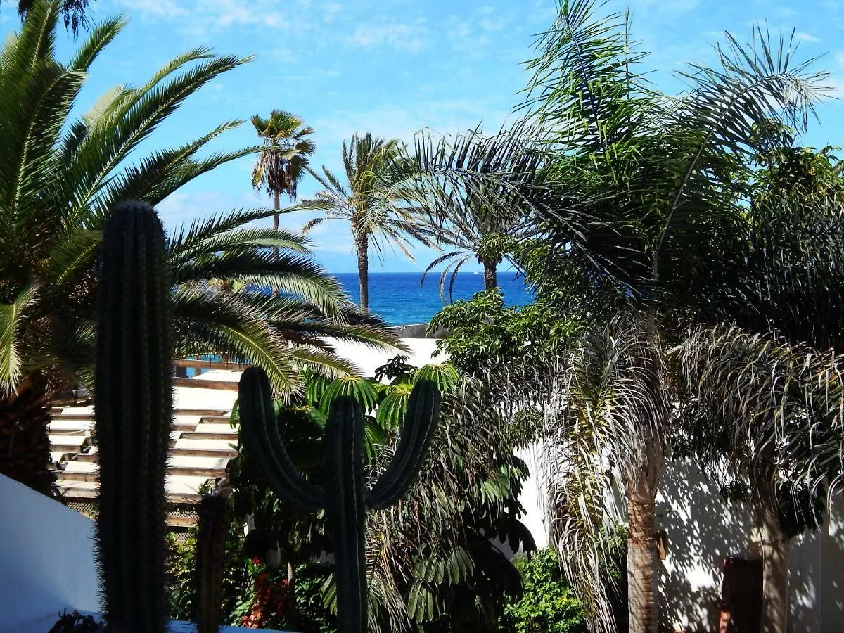 Beautiful Beachfront Apartment Playa de las Americas  Playa de las Americas (Tenerife)